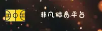 使用指南与常见问题